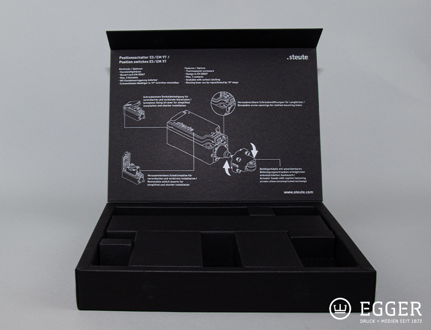 Elektronikverpackung mit Inlay