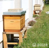 Mehrere Bienenvölker leben auf dem EGGER-Gelände.
