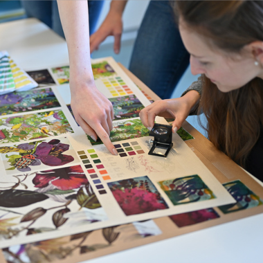 Fachkundige Verpackungsberatung