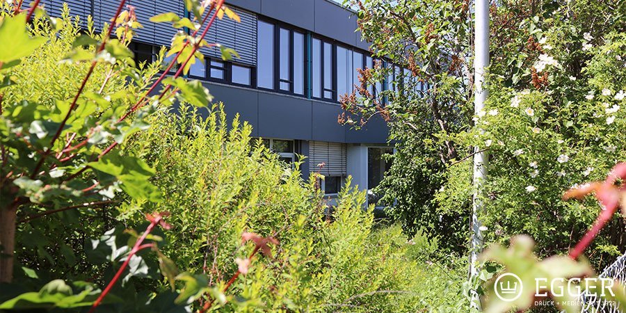 Naturnah angelegter Garten bei EGGER