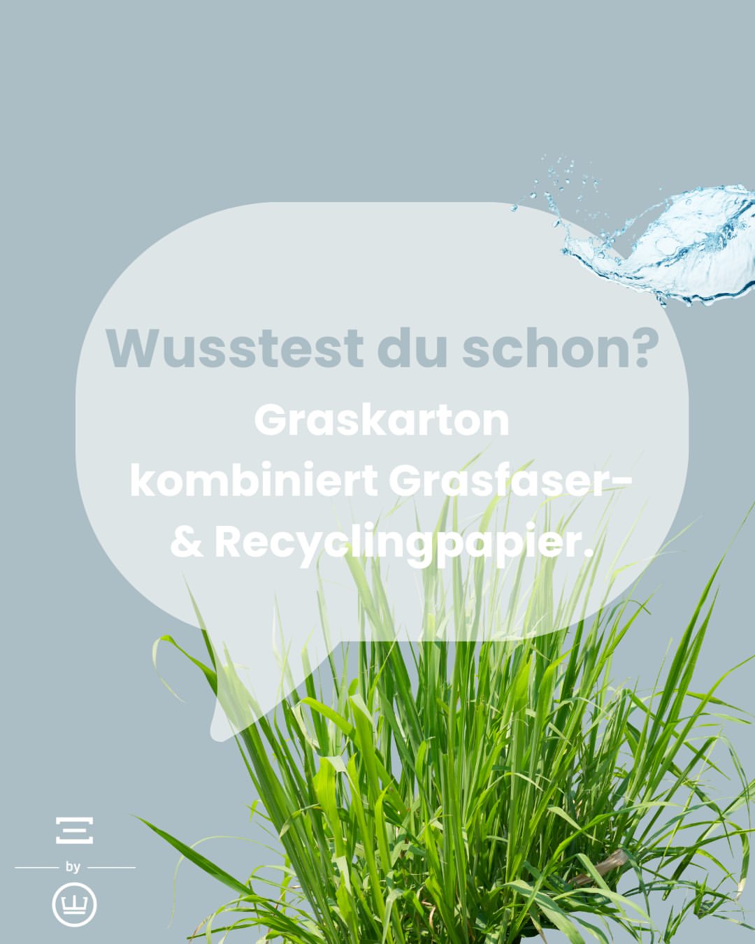 Wusstest du schon?🤔
Graskarton besteht aus 30% Grasfasern und 70% Recyclingpapier. Bei der Herstellung werden nur wenige Liter Wasser pro Tonne benötigt – im Vergleich zu 6.000 Litern bei normalem Zellstoff. Dazu kommt eine natürliche Haptik mit sichtbaren Grasfasern.🌱
👉 Nachhaltige & einzigartige Graskarton-Verpackungen findest du bei uns!
❓ Hast du schon mal wissentlich einen Graskarton in der Hand gehabt?
#Graskarton #nachhaltig #wusstestduschon #egger #eggerdruck #madika #verpackung #verpackungen